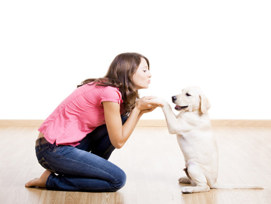 Un câine ar putea fi cheia pentru a atrage un potențial partener de viață. Rasa cu cele mai mari șanse de a influența pozitiv întâlnirile